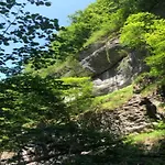 In Near & Castle Beaulieu (Cantal)